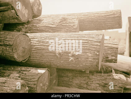 Les usines arabe & améliorations générales à Naplouse, Match Factory. Stock de bois de sciage d'où les correspondances sont faites Banque D'Images