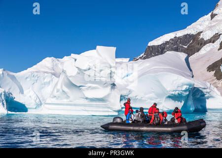 Voile plein de touristes explorer d'énormes icebergs à la dérive dans la baie près de Cuverville island, Antarctic peninsula Banque D'Images