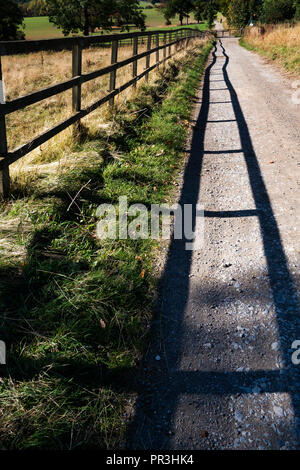 Piste cendrée qui fait partie de la la Pennine Way, près de Wortley, South Yorkshire, en Angleterre, dans le soleil de l'été Banque D'Images