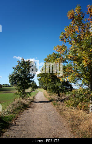 Piste cendrée qui fait partie de la la Pennine Way, près de Wortley, South Yorkshire, en Angleterre, dans le soleil de l'été Banque D'Images