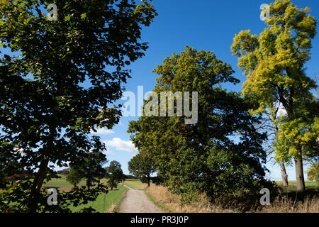 Piste cendrée qui fait partie de la la Pennine Way, près de Wortley, South Yorkshire, en Angleterre, dans le soleil de l'été Banque D'Images