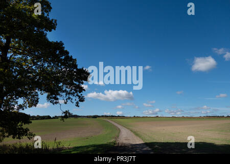 Piste cendrée qui fait partie de la la Pennine Way, près de Wortley, South Yorkshire, en Angleterre, dans le soleil de l'été Banque D'Images