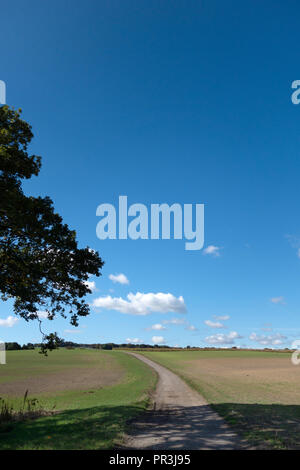 Piste cendrée qui fait partie de la la Pennine Way, près de Wortley, South Yorkshire, en Angleterre, dans le soleil de l'été Banque D'Images