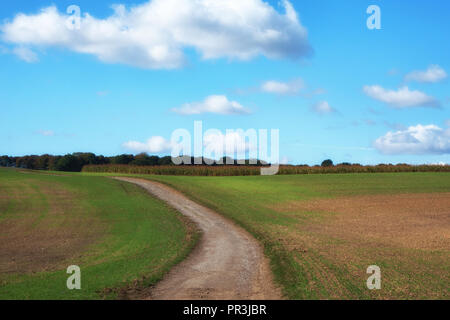 Piste cendrée qui fait partie de la la Pennine Way, près de Wortley, South Yorkshire, en Angleterre, dans le soleil de l'été Banque D'Images