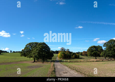 Piste cendrée qui fait partie de la la Pennine Way, près de Wortley, South Yorkshire, en Angleterre, dans le soleil de l'été Banque D'Images