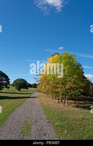 Piste cendrée qui fait partie de la la Pennine Way, près de Wortley, South Yorkshire, en Angleterre, dans le soleil de l'été Banque D'Images