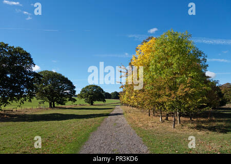 Piste cendrée qui fait partie de la la Pennine Way, près de Wortley, South Yorkshire, en Angleterre, dans le soleil de l'été Banque D'Images