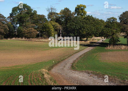 Piste cendrée qui fait partie de la la Pennine Way, près de Wortley, South Yorkshire, en Angleterre, dans le soleil de l'été Banque D'Images