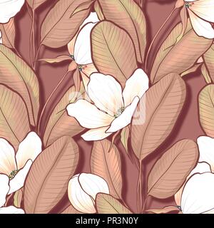 Transparente Floral pattern. Fleurs blanches et feuilles marron Banque D'Images