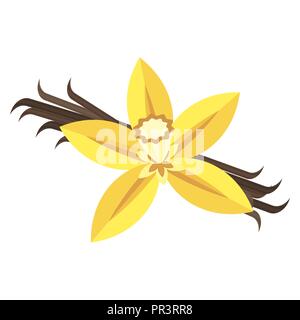 Fleur de vanille avec croix et de feuilles. Spice pour les culinaires. Illustration de Vecteur