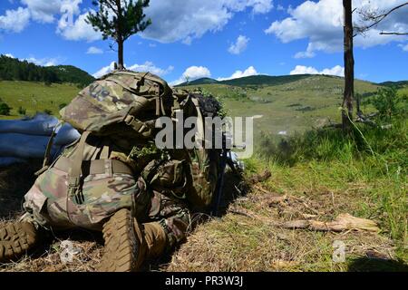 Un parachutiste de l'Armée américaine affecté au 2e Bataillon, 503e Régiment d'infanterie, 173e Brigade aéroportée, s'engage au cours d'un exercice de tir réel dans le cadre de l'exercice Rock Knight à Postonja Pocek en gamme, la Slovénie, le 25 juillet 2017. L'exercice Rock Knight est un exercice d'entraînement bilatéral entre l'armée américaine 173e Brigade aéroportée et les forces armées slovènes, portait sur des petites unités tactiques et faire fond sur les enseignements tirés, en forgeant des liens et améliorer la réceptivité entre les forces alliées. La 173e Brigade aéroportée de l'armée américaine est la force de réaction d'urgence en Europe, fournissant rapidement-d Banque D'Images