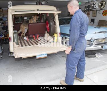 Le Lieutenant-Colonel Timothy Silkowski, directeur de la Division de l'appui de la flotte restaure à l'ancienne et de véhicules anciens dans son temps libre, y compris ce 1956 DeSoto et 1950 Jeep Willys Station Wagon à bord, Marine Corps Base Barstow, Californie, le 25 juillet. Son compagnon canin, Harley approuve du nouveau siège qu'il a trouvé dans une épave et restauré pour monter à l'arrière de l'Willys. Banque D'Images