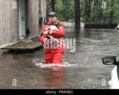 La Garde côtière canadienne les membres de l'équipe de bateau Réponse Shallow-Water 3 aider les gens et leurs animaux bloqués par l'eau de l'inondation causée par l'ouragan Florence près de Riegelwood, Caroline du Nord, le 16 septembre 2018. Banque D'Images