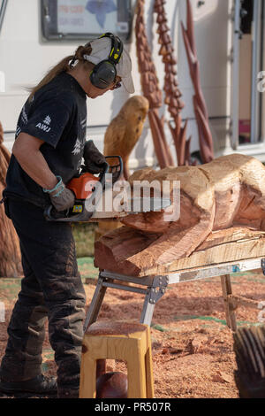 29 septembre 2018 Brentwood Essex Essex Afficher dans Weald Park Brentwood Essex en automne glorieux soleil. Sculptures sur bois à la tronçonneuse. Ian Davidson Crédit/Alamy Live News Banque D'Images