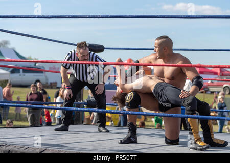 29 septembre 2018 Brentwood Essex Essex Afficher dans Weald Park Brentwood Essex en automne glorieux sunshine.Piscine wrestling Crédit bout Ian Davidson/Alamy Live News Banque D'Images