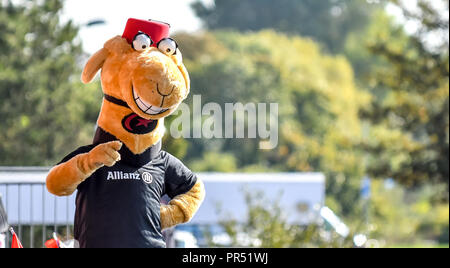 Londres, Royaume-Uni. Huf 29 2018. Saracens mascot Sarrie le Premiership match vint Gallagher entre Saracens Bath Rugby et à l'Allianz Park, Londres, Angleterre le 29 septembre 2018. Photo par Phil Hutchinson. Usage éditorial uniquement, licence requise pour un usage commercial. Aucune utilisation de pari, de jeux ou d'un seul club/ligue/dvd publications. Banque D'Images