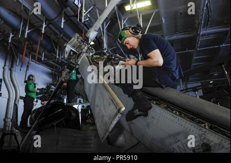 Mer des Philippines (Septembre 1994). 15, 2018) l'Aviation aviateur Noel Conarty, mécanicien de Muskegon, Michigan, s'occupe de l'entretien d'un MH-60S Sea Hawk affectés à l'Escadron d'hélicoptères de combat de la mer (HSC) 12 dans la zone de déploiement de la marine de l'avant-porte-avions USS Ronald Reagan (CVN 76) en vue de l'exercice Valiant Shield en 2018. Valiant Shield est une biennale, seulement un exercice d'entraînement sur le terrain (FTX) avec un accent sur l'intégration de la formation conjointe de couleur bleu-eau environnement parmi les forces américaines. Cette formation permet la maîtrise mondiale dans le maintien de forces conjointes par la détection, la lo Banque D'Images