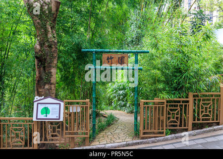 Hong Kong - Juillet 02, 2018 : Bambouseraie à Hong Kong jardins zoologique et botanique Banque D'Images
