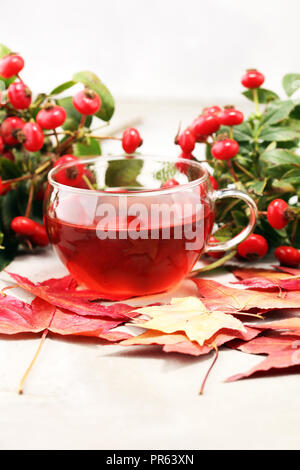 Tasse de thé. herbal Dog rose thé avec bunch branch églantier rosa canina types, les hanches. Les plantes médicinales et les herbes composition Banque D'Images