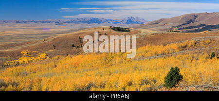 panorama du peuplier faux-tremble en couleur d'automne et pics de lima à la distance vue à travers la vallée centenaire près de la vue sur le lac, montana Banque D'Images