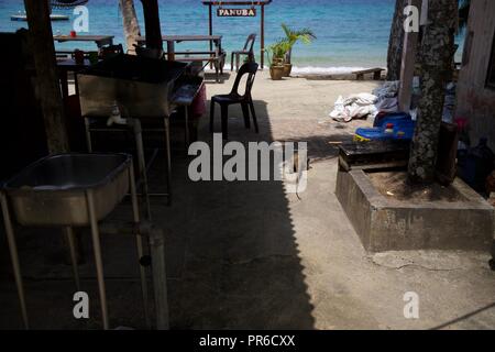 Varan sur Tioman Island Banque D'Images