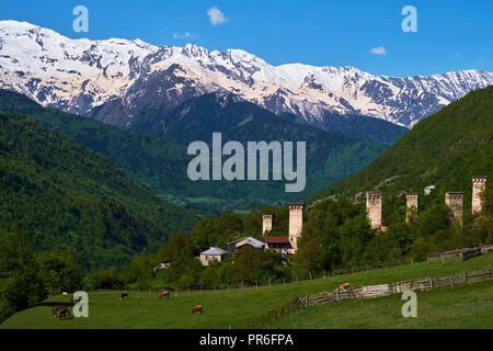 La Géorgie, Svaneti, Laili village, UNESCO World Heritage Banque D'Images