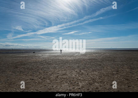 La lumière du soleil de l'après-midi de septembre à Lytham St Annes sur la côte de Fylde, Lancashire, England, UK avec l'homme chien à pied à marée basse. Banque D'Images