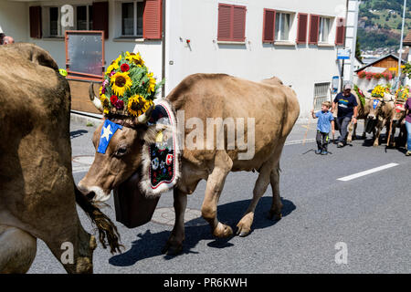 Vilters-Wangs sa dans le canton de Saint-Gall en Suisse.Alpabfahrt celabration manuelle lorsque les vaches retour d'Hautes Alpes de la vallée de Banque D'Images