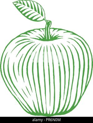 Illustration du Livre vert à l'encre de Apple vectorisés isolé sur fond blanc Illustration de Vecteur