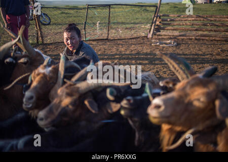 Une femme locale vu traire les chèvres à côté de la petite ville d'Adaatsag Dundgovi dans la province de la Mongolie centrale. Banque D'Images