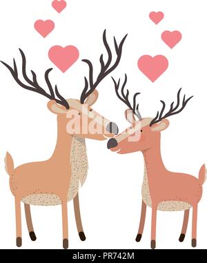 Cute couple cerfs avec des cœurs vector illustration design Illustration de Vecteur