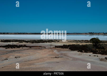 Réserve naturelle de l'ouest de l'Australie Chinocup, sec paysage autour de Salt Lake Banque D'Images