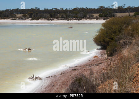 Réserve Naturelle Chinocup Australie de l'Ouest, vue de la rive du lac salé Banque D'Images