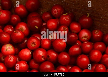 Airelle rouge est un plateau en bois de l'été, la récolte de petits fruits délicieux mets de la forêt Banque D'Images