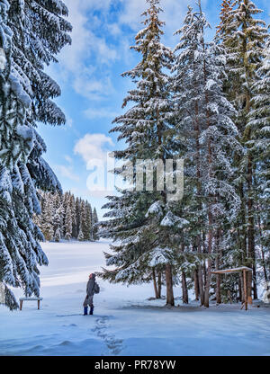 L'homme en hiver forêt en montagnes des Rhodopes, Bulgarie Banque D'Images