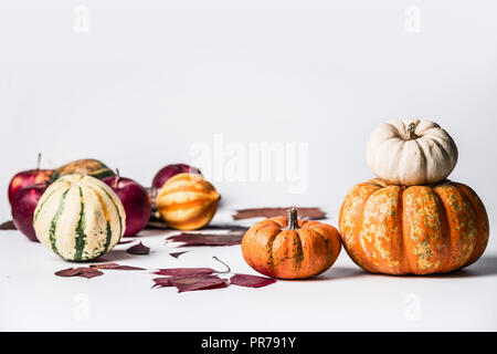 Divers citrouilles sur fond blanc avec des feuilles d'automne, vue de face. Les légumes d'automne , Thanksgiving food concept Banque D'Images
