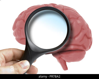 Cerveau humain analysé avec loupe exemplaire en blanc à l'intérieur de l'espace isolé sur blanc Banque D'Images