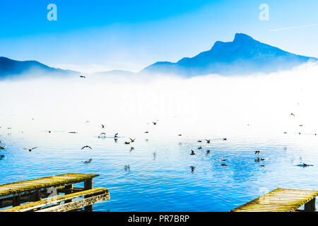 Vue sur Foggy Mountain paysage avec les mouettes sur la jetée du lac de Mondsee en Autriche Banque D'Images