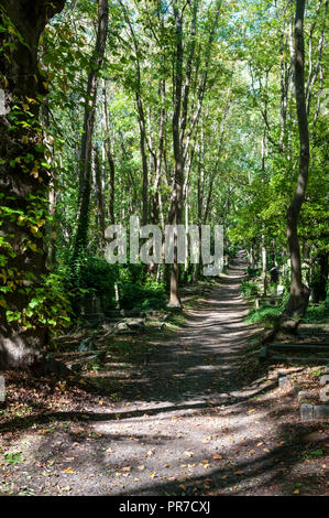 Un chemin à travers le Cimetière de Highgate avec graves parmi les arbres. Banque D'Images