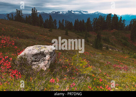 Les paysages pittoresques de l'Elfin Lakes Trail à Whistler (Canada). Banque D'Images