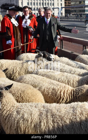 Londres, Royaume-Uni. Le 30 septembre 2018. Alan Titchmarsh personnalité TV entraîne les moutons de l'autre côté du pont. La Worshipful Company of Woolmen Lecteur de moutons à travers le pont de Londres. Crédit : Matthieu Chattle/Alamy Live News Banque D'Images