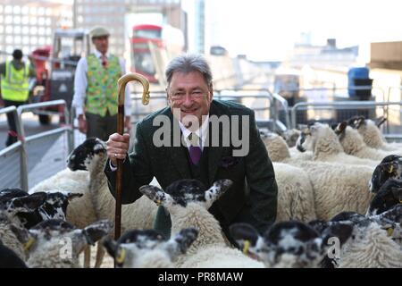 Alan Titchmarsh premier mouton drice 30/9/2018 Banque D'Images