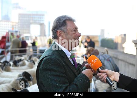 Alan Titchmarsh premier mouton drice 30/9/2018 Banque D'Images