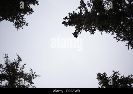 Montagne des Alpes allemandes, entourée de nuages et de ciel bleu. Banque D'Images