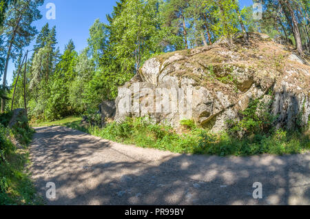 Plein de soleil de l'été randonnée en forêt à Oslo Kommune. Banque D'Images