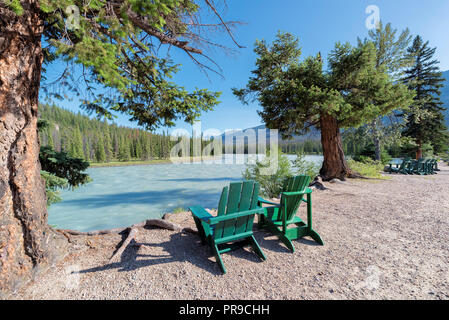 La rivière Athabasca dans Canadian Rockies Banque D'Images