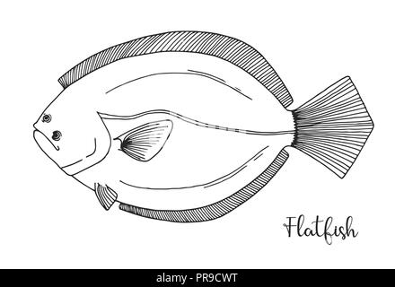 Poisson plat dessiné à la main. Vector illustration dans un style croquis Illustration de Vecteur