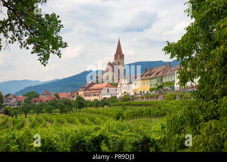 À plus d'un vignoble en direction de la ville autrichienne de Weissenkirchen. Banque D'Images