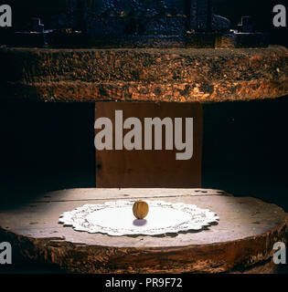 L'un noyer sous vintage hop, Alsace, France, Europe, Banque D'Images