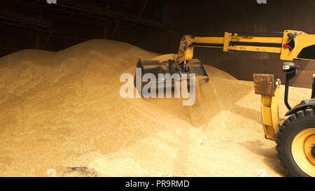 Tracktor graing chargement de l'entrepôt. Banque D'Images